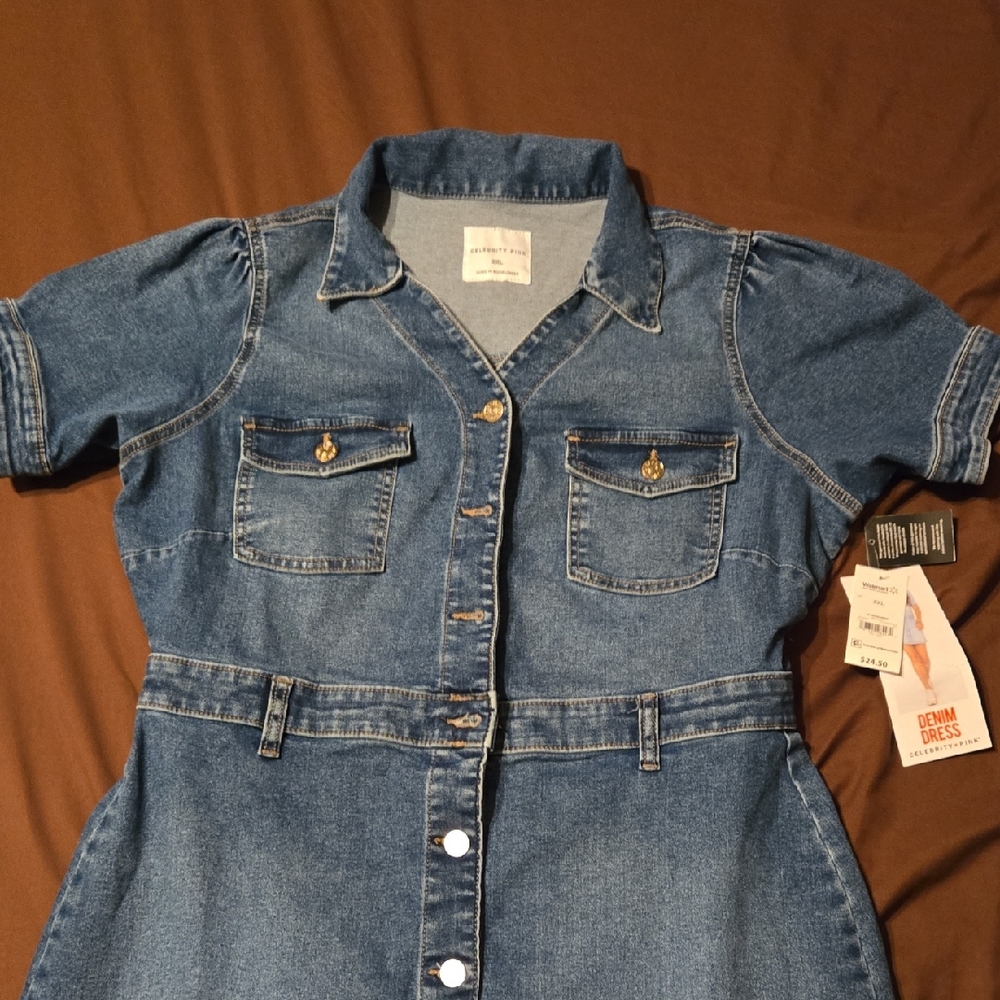 Celebrity Pink Blue Denim Dress